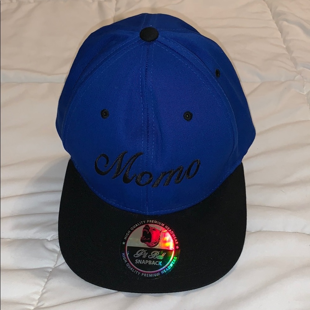 Pit Bull SnapBack hat.